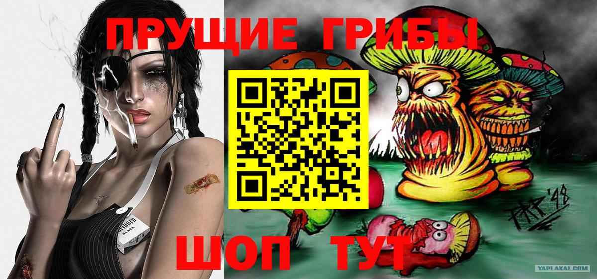 Псилоцибиновые грибы мухоморы  закладки  Свободный  Вход с VPN 